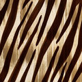 Image Not Available